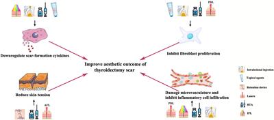 Early postoperative interventions in the prevention and management of thyroidectomy scars